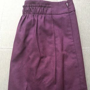 J. Crew Size 10 Skirt